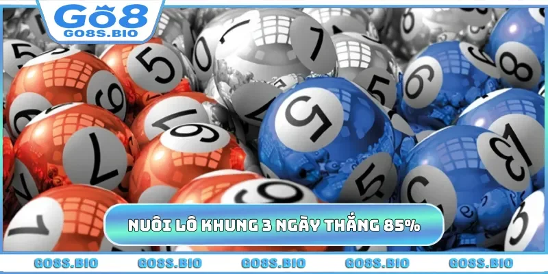 Nuôi lô khung 3 ngày thắng 85%
